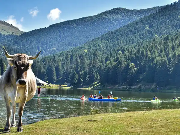 forêt du lac de Payolle